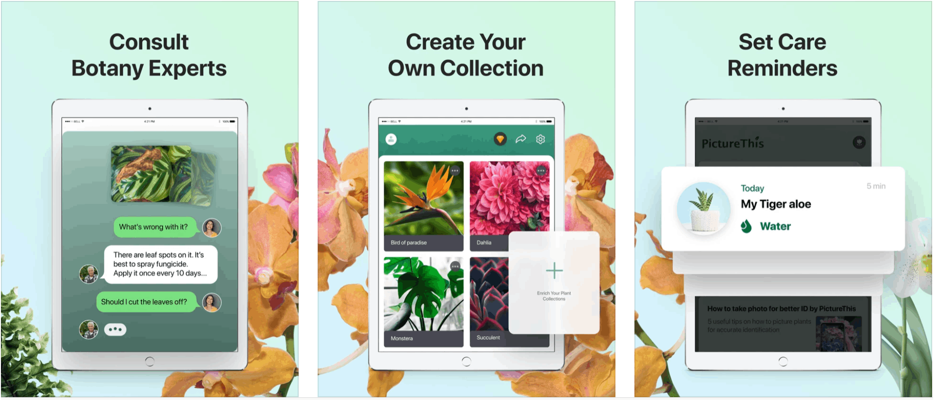 PictureThis - The Best Plant Identification App