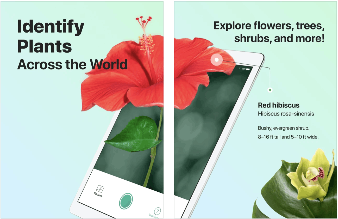 PictureThis - The Best Plant Identification App