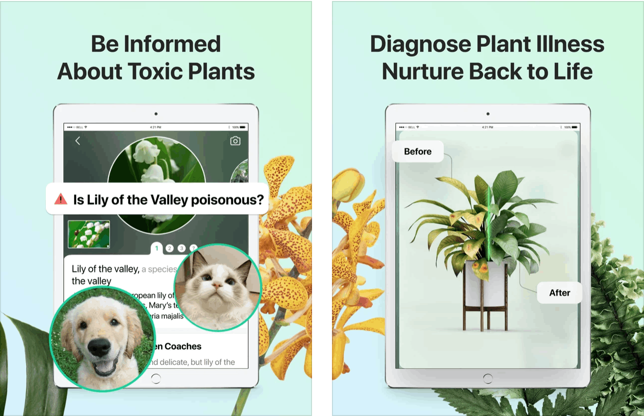 PictureThis - The Best Plant Identification App