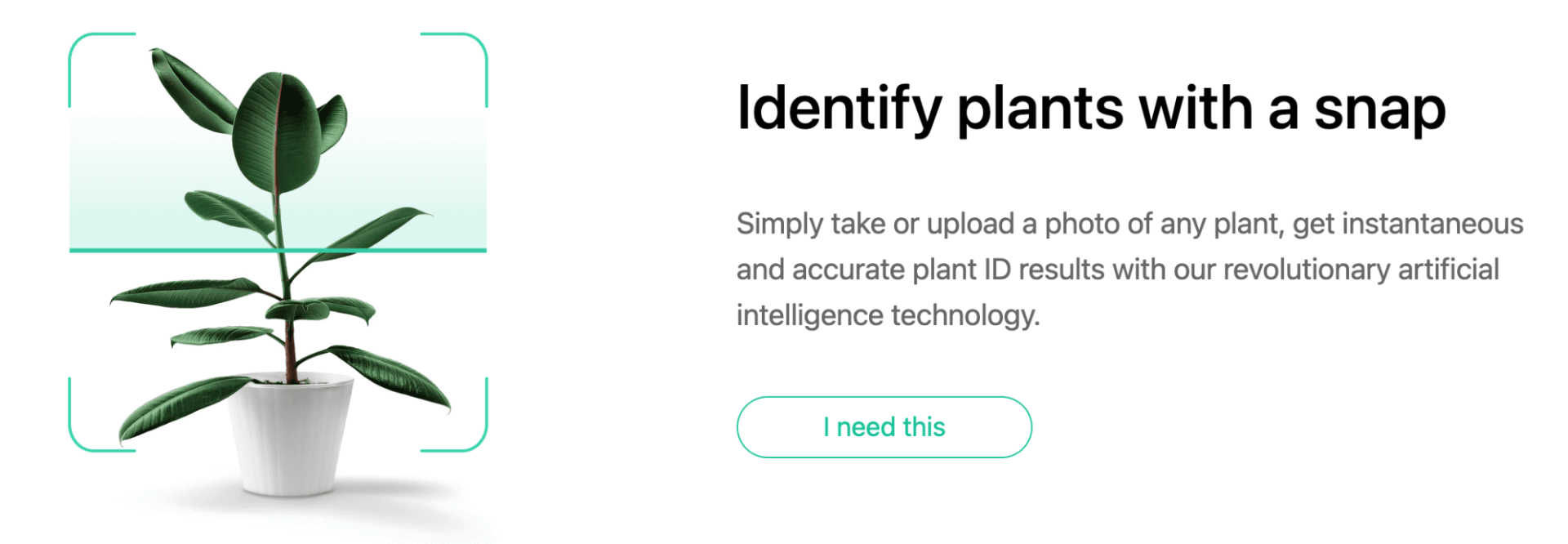 PictureThis - The Best Plant Identification App